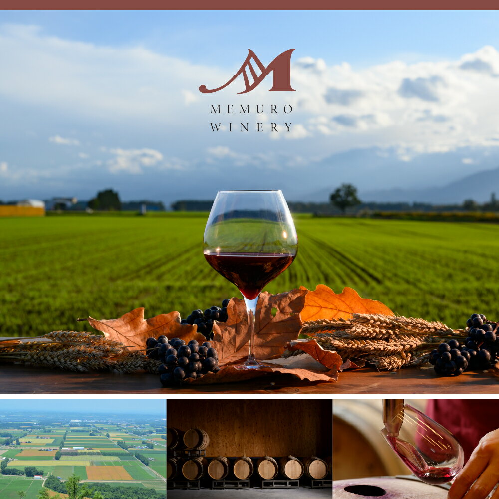 【ふるさと納税】【選べる単品/定期便】 ワイン 清舞 750ml / 赤ワイン わいん 果実酒 酒 セット 贈り物 ギフト お祝い 記念日 お歳暮 国産 瓶 お取り寄せ 北海道 十勝 芽室町