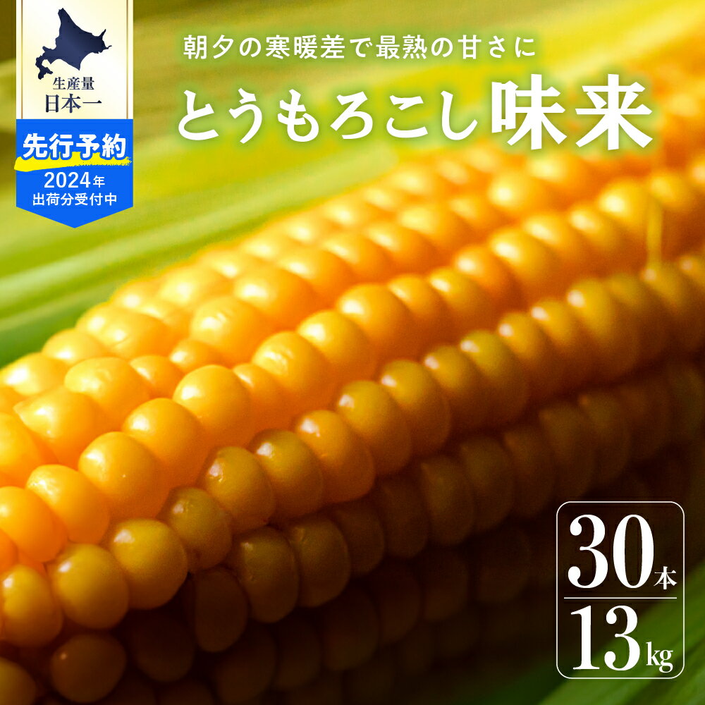 【ふるさと納税】【2024年 先行予約】北海道産 朝どれ とうもろこし 味来 30本 約13kg スイートコーン ..