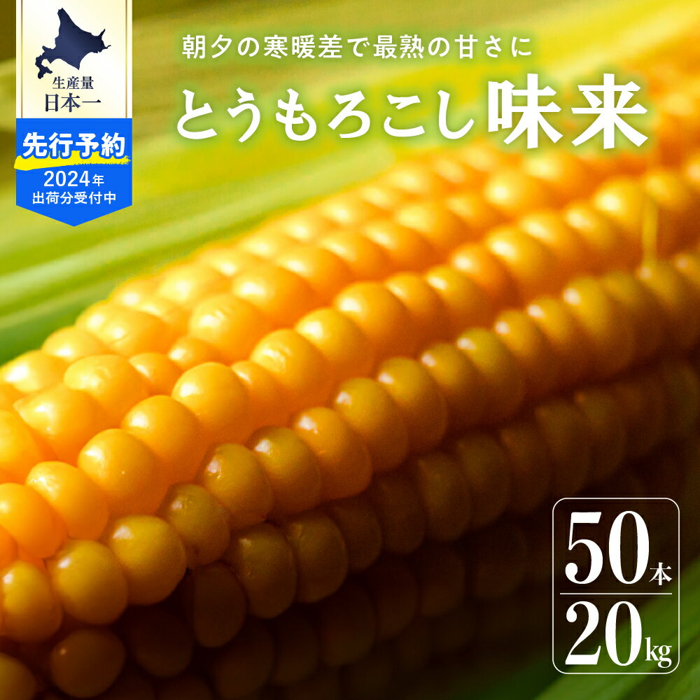 【ふるさと納税】【2024年 先行予約】北海道産 朝どれ とうもろこし 味来 50本 約20kg スイートコーン ハニーバンダム みらい トウモロコシ とうきび 生 野菜 黄色 yellow 産地直送 送料無料 期間限定 数量限定 お取り寄せ グルメ お土産 贈答 北海道 十勝 芽室町 めむろ