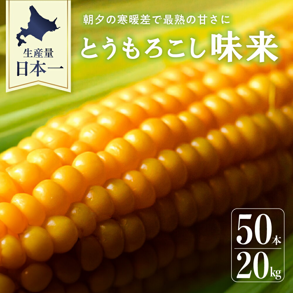 【ふるさと納税】【2023年8月5日～順次発送 】 北海道産 とうもろこし 味来 50本 スイートコーン 甘い とうきび トウモロコシ 生 野菜 黄色 黄 yellow 産地直送 送料無料 期間限定 数量限定 お取り寄せ お取り寄せグルメ お土産 贈答 北海道 十勝 とかち 芽室町 めむろ 人気