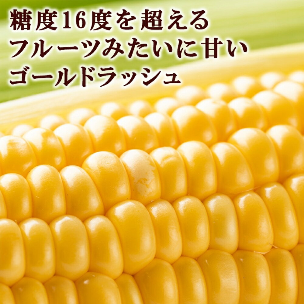 【ふるさと納税】【楽天限定】北海道 ゴールドコーンスープ そのまま 160g×2袋SONOMAMA キャンプ飯 BBQ アウトドア ソロキャン ゴールドラッシュ 糖度16度 甘い とうもろこし とうきび コーン スープ クリーミー ランチ 簡単 朝採れ 国産 北海道産 国内 十勝 芽室