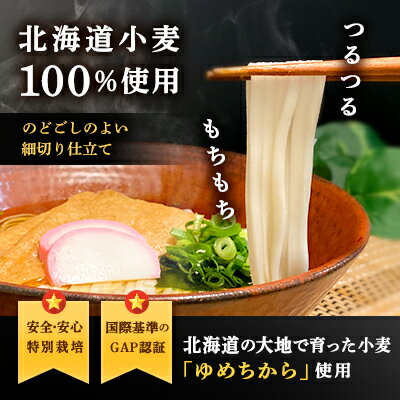 【ふるさと納税】特別栽培 北海道産 小麦粉100％「北海道小麦うどん」 300g ×15袋 乾麺 ざるうどん かけうどん アレンジ豊富 北海道 十勝 芽室町