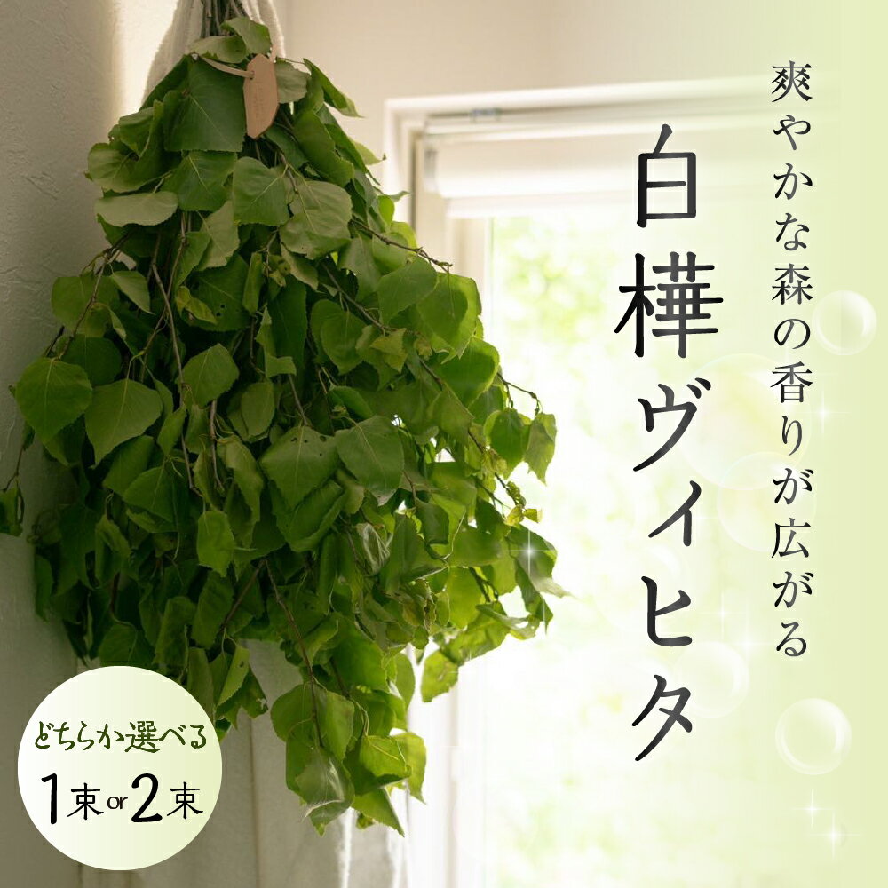 北海道芽室町産「白樺ヴィヒタ」選べる(1束/2束) 1束20本前後 サウナグッズ バスグッズ ビヒタ 健康 森林浴 インテリア スワッグ 装飾 送料無料 北海道 十勝 芽室町