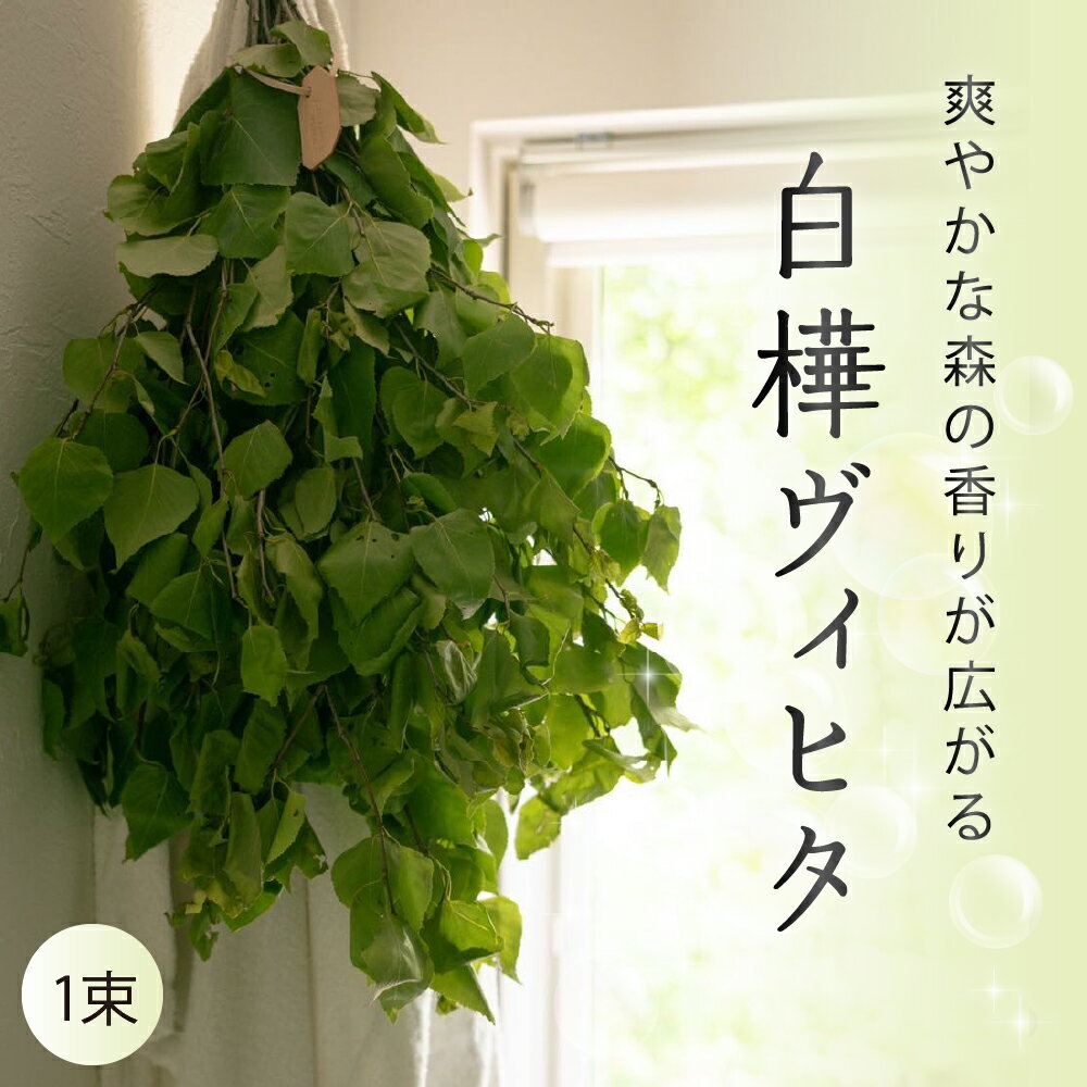 [先行受付]北海道芽室町産「白樺ヴィヒタ」1束サウナグッズ バスグッズ ビヒタ 健康 森林浴 インテリア スワッグ 装飾 送料無料 北海道 十勝 芽室町