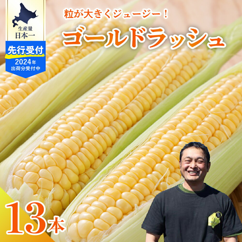 [2024年分先行予約]とうもろこし スイートコーン ゴールドラッシュ 13本 トウモロコシ 野菜 BBQ ソロキャンプ 送料無料 お取り寄せ 北海道 十勝 芽室町