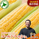 【ふるさと納税】【先行予約】 2026年産 とうもろこし 北海道産 スイートコーン ゴールドラッシュ 13本 【2026年7月下旬~8月上旬頃配送】コーン 糖度 甘い 生 野菜 BBQ 産地直送 冷蔵 送料無料 お取り寄せ 北海道 十勝 芽室町 めむろ