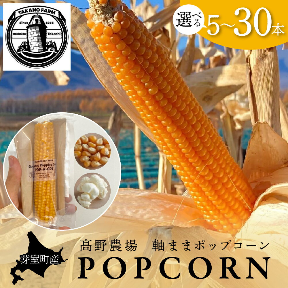 手軽で美味しい! ポップコーン イエロー 選べる本数 5本 10本 20本 30本軸付き カラフル ポップコーン 電子レンジ対応特殊袋付き 軽食 とうもろこし おやつ お菓子 スナック菓子 お取り寄せ ご当地 送料無料 北海道 十勝 芽室町