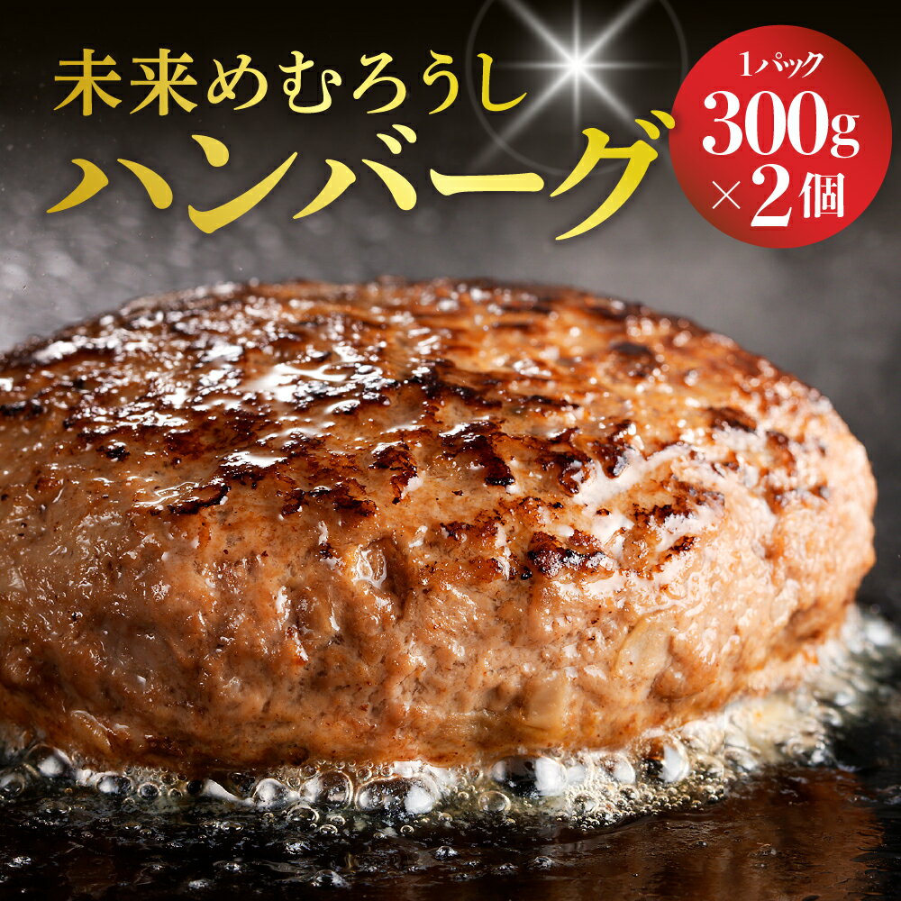 未来めむろうし ハンバーグ 300g ×2個 冷凍 国産 和牛 牛肉 ビーフ 加工食品 加工品 惣菜 おかず パック セット 贈り物 ギフト お取り寄せ 北海道 十勝芽 室町