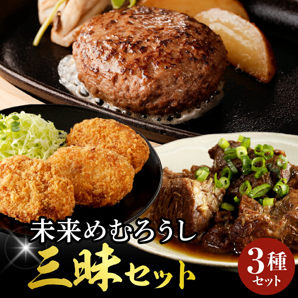 未来めむろうし三昧 3種セット ( ハンバーグ 牛すじ煮込み コロッケ ) 冷凍 国産 和牛 牛肉 ビーフ 加工食品 加工品 惣菜 おかず セット 詰め合わせ 食べ比べ 贈り物 ギフト お取り寄せ 北海道 十勝 芽室町北海道 十勝芽 室町