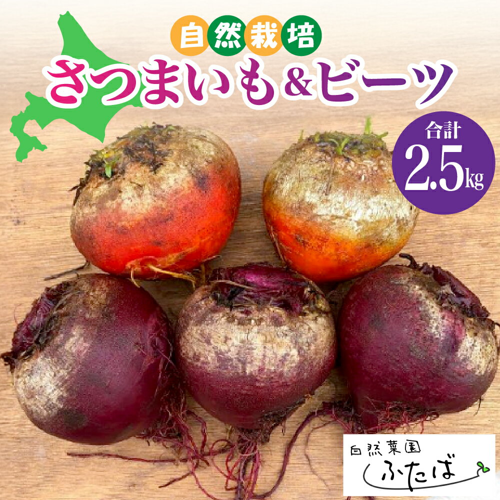 自然菜園ふたば 宇佐美亮の さつまいも と ビーツ セット 2.5kg [2月より順次発送] 野菜 やさい 産地直送 送料無料 北海道 十勝 芽室町