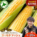 【ふるさと納税】【先行予約】 2026年産 とうもろこし 朝採り をお届け!蝦夷っ子とうもろこし ゴールドラッシュ ( 選べる 6本 12本 20本 )【2026年7月25日~8月15日頃発送予定】 人気 キャンプ BBQ とうきび コーン 生 野菜 めむろ 数量限定 産地直送 北海道 十勝 芽室町