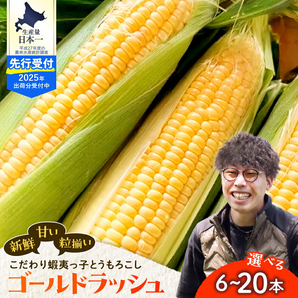 蝦夷っ子 とうもろこし ゴールドラッシュ (選べる : 6本 / 12本 / 20本 )/ 人気 キャンプ飯 BBQ アウトドア ソロキャン バーベキュー 焼肉 トウモロコシ とうきび コーン 甘い 野菜 北海道 十勝 芽室町 めむろ 数量限定