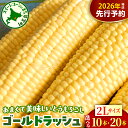 【ふるさと納税】【先行予約】 2026年産 とうもろこし 北海道産 ゴールドラッシュ 2L サイズ ( 選べる : 10本 / 20本 )【2026年8月上旬~8月下旬頃配送】 スイートコーン コーン 朝採り 産地直送 糖度 生 野菜 新鮮 BBQ 冷蔵 送料無料 お取り寄せ 北海道十勝 芽室町
