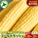 【ふるさと納税】【訳あり】【先行予約】 2026年産 とうもろこし 北海道産 ゴールドラッシュ L サイズ ( 選べる : 10本 / 20本 )【2026年8月上旬~8月下旬頃配送】 スイートコーン コーン 朝採り 産地直送 糖度 生 野菜 新鮮 BBQ 冷蔵 送料無料 お取り寄せ 北海道十勝 芽室町