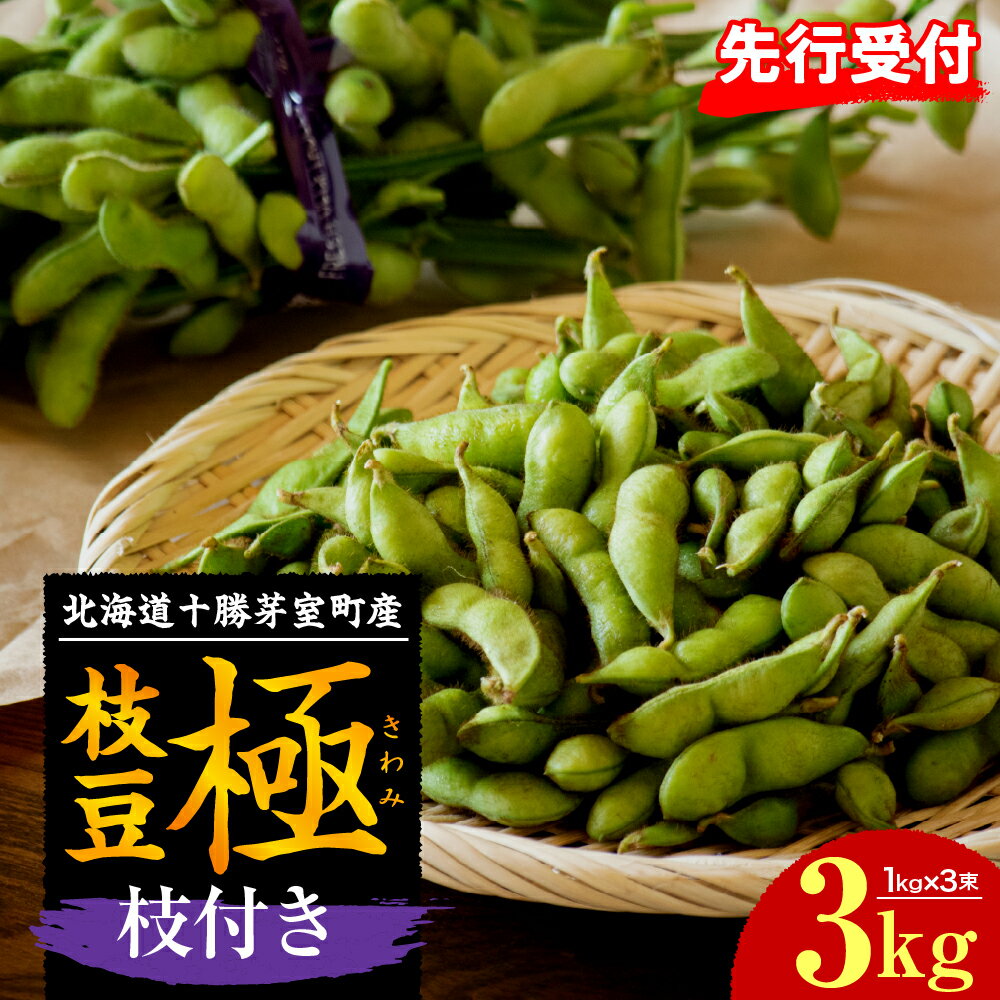 枝付き 枝豆 「極」 3kg [2025年7月より発送] えだ豆 えだまめ 生枝豆 野菜 冷蔵おつまみ 晩酌 おやつ 弁当 美味しい お取り寄せグルメ 特産品 送料無料 北海道産 北海道 十勝 芽室町