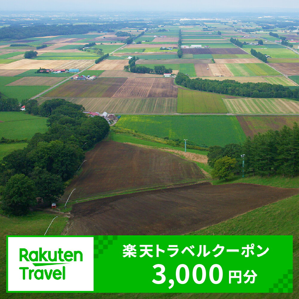 北海道芽室町の対象施設で使える楽天トラベルクーポン 寄付額10,000円