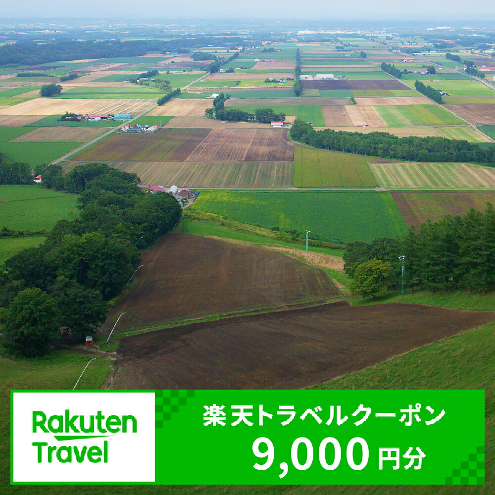 【ふるさと納税】北海道芽室町の対象施設で使える楽天トラベルクーポン 寄付額30,000円