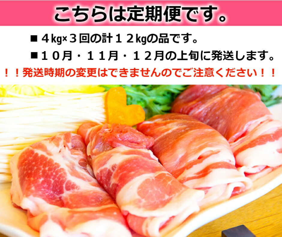 【ふるさと納税】【定期便】＜10・11・12月発送＞　肉屋のプロ厳選! 北海道産の豚肉スライス4kg×3回[A3-1-10]