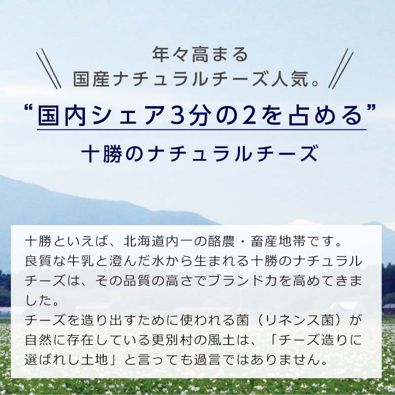 【ふるさと納税】北海道十勝更別村 さらべつチーズ工房 チーズ4種セット 色々 詰め合わせ チーズ 北海道 ブルーチーズ ちーず 食べ比べ ナチュラルチーズ F21P-120