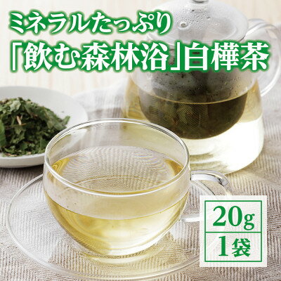 “飲む森林浴”　白樺茶