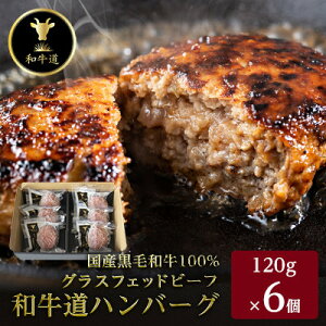 【ふるさと納税】和牛道ハンバーグ120g×6食セット 北海道 大樹町 和牛 国産【配送不可地域:離島】【1397514】