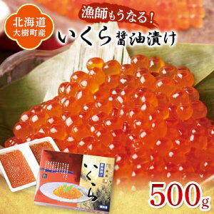 【ふるさと納税】北海道産 鮭いくら醤油漬け 計500g(250g×2パック)【漁協直送】【配送不可地域:離島】【1423870】