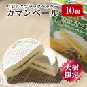 【ふるさと納税】雪印メグミルク大樹工場製造「香りをはさんだカマンベールチーズ大樹物語」を10個セットにしました。【配送不可地域:離島】【1435380】