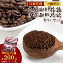 【ふるさと納税】自家焙煎珈琲大樹珈琲物語100gと宇宙(そら)珈琲物語100g袋セット中細挽粉ギフトセット【1502928】