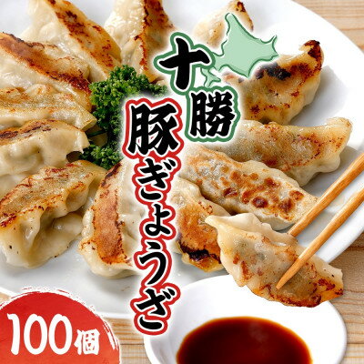 【ふるさと納税】十勝 豚ぎょうざ 20個入り 5パック 十勝豚使用 北海道 大樹町【配送不可地域:離島】【1530883】