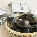 【ふるさと納税】【数量限定】幻の「巨大しじみ貝」3袋セット(250g×3袋)【配送不可地域:離島】【1535325】