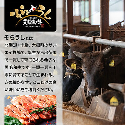 【ふるさと納税】「天駆和牛(そらうし)」ステーキ食べ比べ(ヒレ/リブ/サーロイン 各1セット)【配送不可地域：離島】【1733983】 f016411-taiki-10000347 北海道大樹町 サンプル画像3