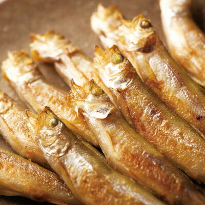 Smelt - 【ふるさと納税】北海道十勝大樹町産 天然ししゃも メス 20尾(Sサイズ・Rサイズ混)【配送不可地域：離島】【1740366】