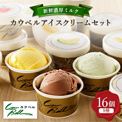 カウベルアイスクリーム9種16個セット 新鮮濃厚ミルク 北海道産素材 全12回