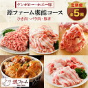 【ふるさと納税】【毎月定期便】北海道十勝産 ホエー豚 ひき肉、バラ肉、豚丼　源ファーム堪能コース　全5回【配送不可地域：離島】【4010968】