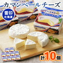 【ふるさと納税】【毎月定期便】雪印北海道 カマンベールチーズ 1箱(90g×10個入り)全3回【配送不可地域:離島】【4014034】