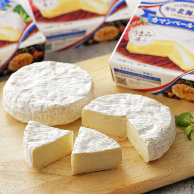 【ふるさと納税】【2ヵ月毎定期便】雪印北海道 カマンベールチーズ 1箱(90g×10個入り)全3回_ カマンベールチーズ チーズ カマンベール ちーず 定期便 乳製品 おつまみ 晩酌 90g×10個 ギフト プレゼント 自宅用 雪印 北海道 送料無料 【配送不可地域：離島】【4014037】