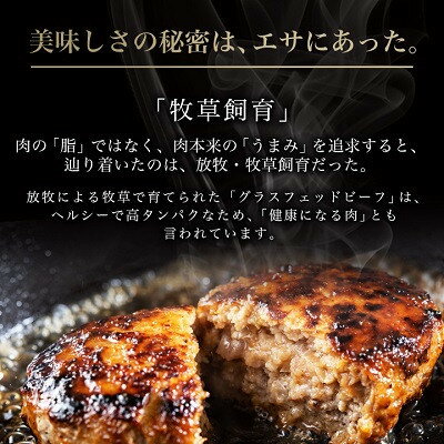 【ふるさと納税】【毎月定期便】和牛道ハンバーグ120g×6食セット 大樹町 国産黒毛和牛 グラスフェッドビーフ全3回【配送不可地域：離島】【4071621】