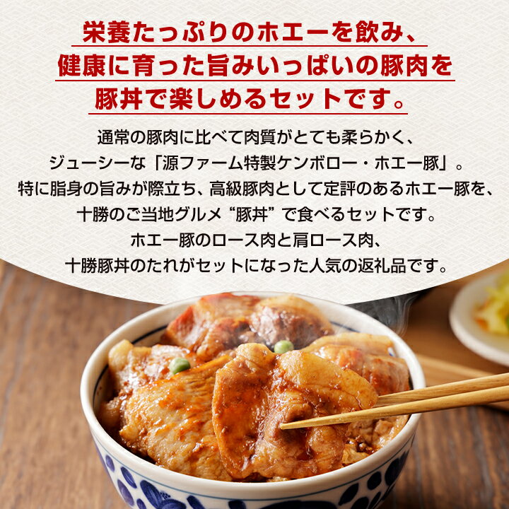 北海道大樹町の画像2