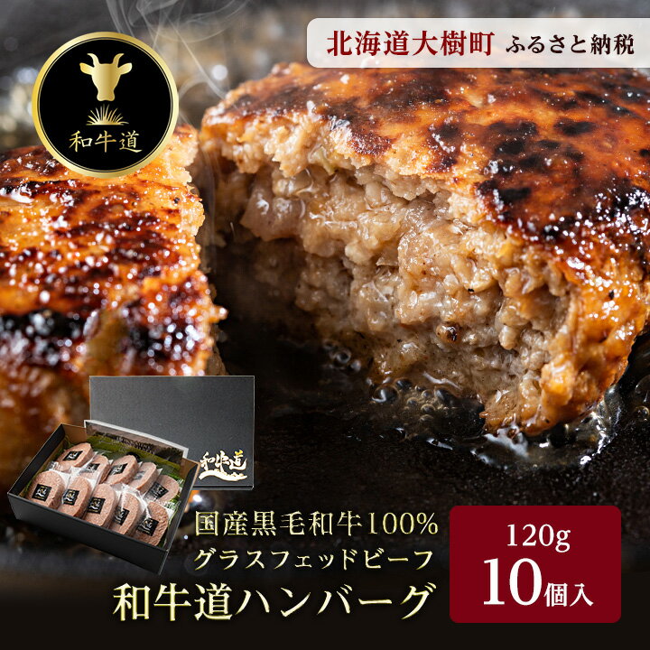 3位! 口コミ数「0件」評価「0」和牛道ハンバーグ120g×10食セット【配送不可地域：離島】【1439972】