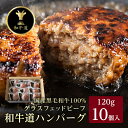【ふるさと納税】和牛道ハンバーグ120g×10食セット 北海道 大樹町 国産 黒毛和牛 グラスフェッドビーフ_ ハンバーグ 和牛 黒毛和牛 グラスフェッド 国産 牛肉 美味しい 人気 ギフト 贈答 送料無料 北海道 【配送不可地域:離島】【1439972】