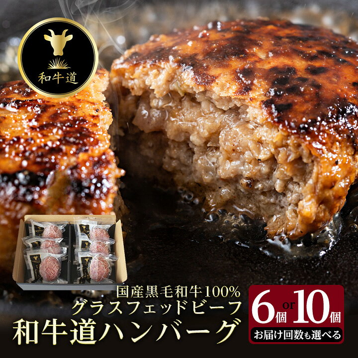 【ふるさと納税】和牛道ハンバーグ120g×(6/10)食セット 北海道 大樹町 国産黒毛和牛 全1/3/6/12回【配送不可地域：離島】【G1439972】