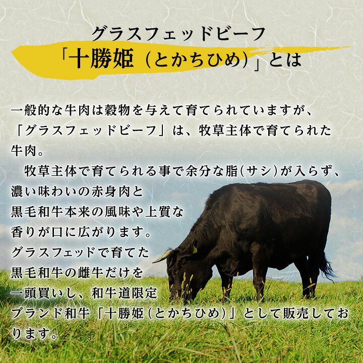 【ふるさと納税】和牛道ハンバーグ120g×(6/10)食セット 北海道 大樹町 国産黒毛和牛 全1/3/6/12回_ 肉 お肉 牛肉 黒毛和牛 ブランド牛 十勝姫 ハンバーグ 北海道 大樹町 冷凍 送料無料 贈答 ギフト 【配送不可地域：離島】【G1439972】 f016411-taiki-10000156 北海道大樹町 サンプル画像3