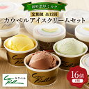 【ふるさと納税】【毎月定期便】カウベルアイスクリーム9種16個セット 新鮮濃厚ミルク 北海道産素材 全12回【配送不可地域:離島】【4008599】