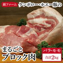 【ふるさと納税】ケンボロー・ホエー豚　ブロック肉 2kgセッ