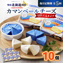 【ふるさと納税】【毎月定期便】雪印北海道 カマンベールチーズ 切れてるタイプ 1箱(90g(6個入り)×10個全5回_ カマンベールチーズ チーズ カマンベール...