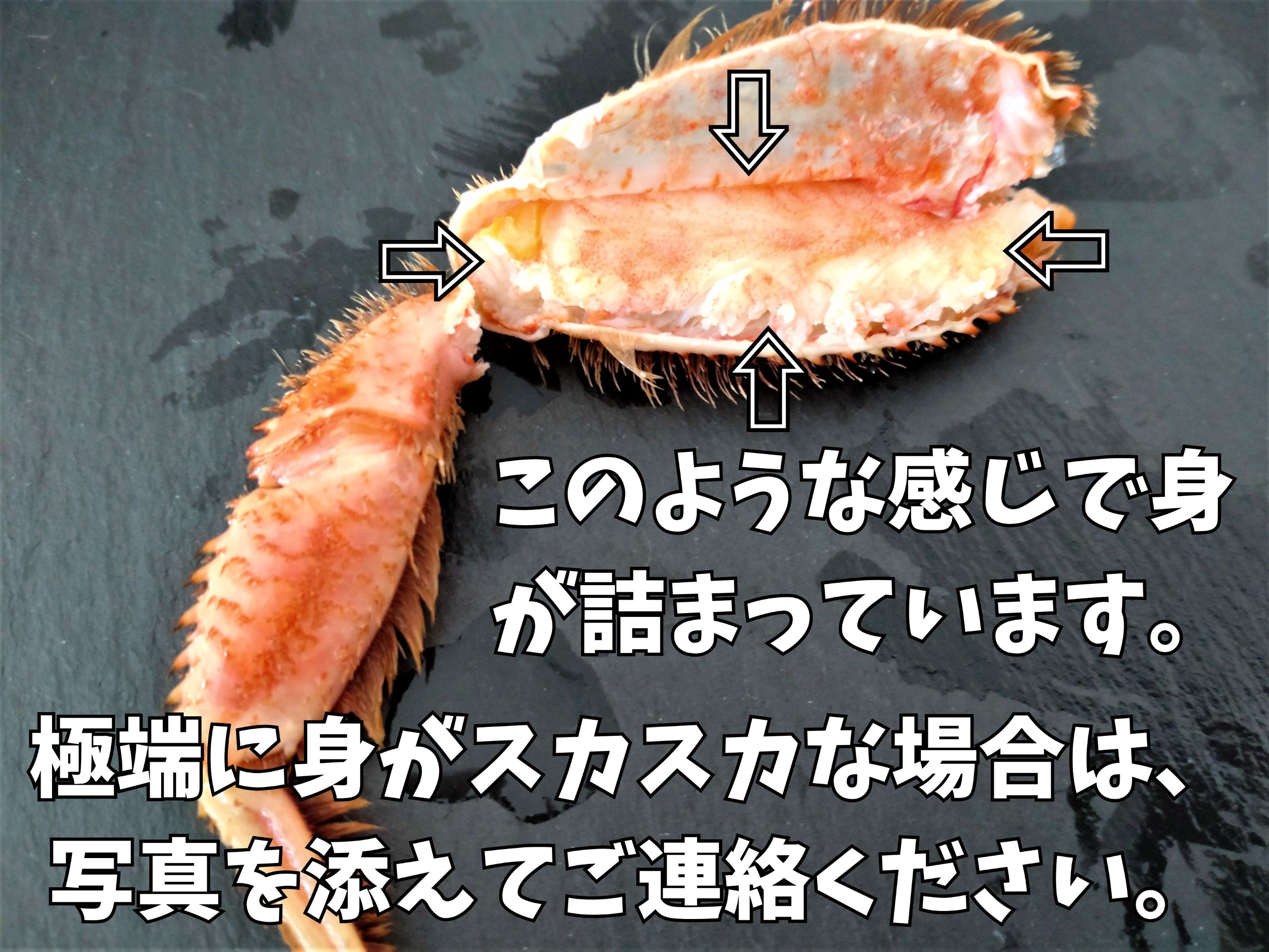 【ふるさと納税】ボイル毛ガニ　350g　1尾（茹で冷凍）【けがに　ケガニ　毛蟹　毛がに　カニ　太平洋　北海道　広尾町　冷凍　ボイル　海鮮　グルメ】(0102) f016420-hiroo-10000567 北海道広尾町 サンプル画像3