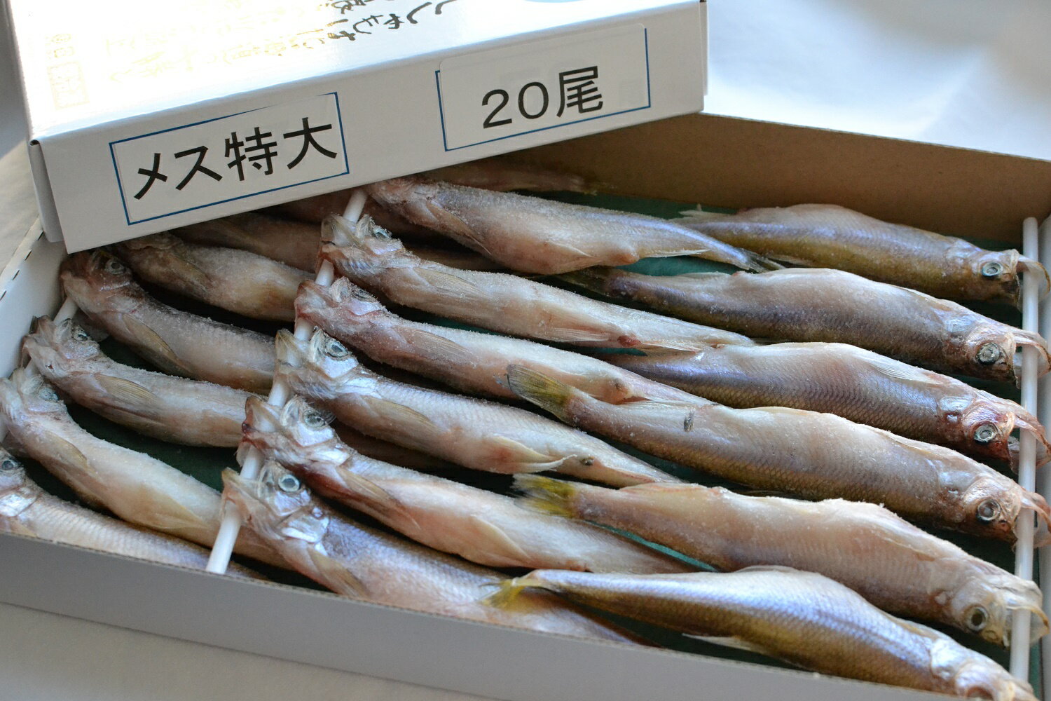 シシャモ ふるさと納税 本ししゃも一夜干し特大メス２０ 北海道広尾町北海道広尾町から本物のししゃもをお届け