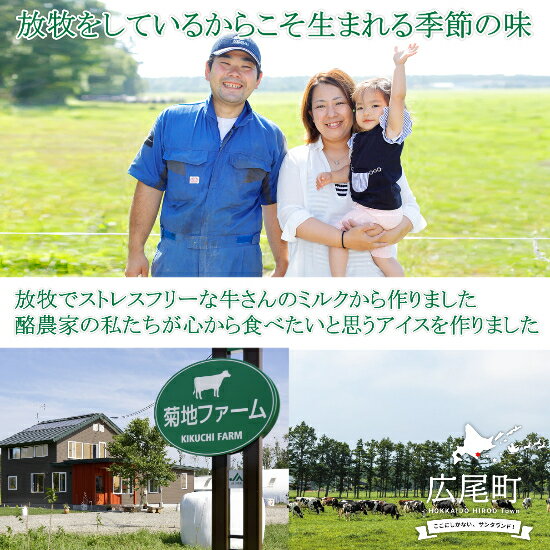 【ふるさと納税】北海道十勝 広尾町 放牧牛の搾りたてミルクジェラート 6種×2個セット（12個入り）ジェラート 放牧牛 ミルク 北海道産イチゴ ジャンドゥーヤ チョコレート ヘーゼルナッツ 十勝産カボチャ 黒ゴマ 抹茶ミルク