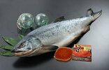 【ふるさと納税】カネニの新巻鮭と塩いくらの親子セット