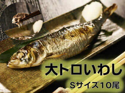 北海道十勝 広尾町 豊かな脂のりと旨みが特徴！大トロいわしSサイズ10パック